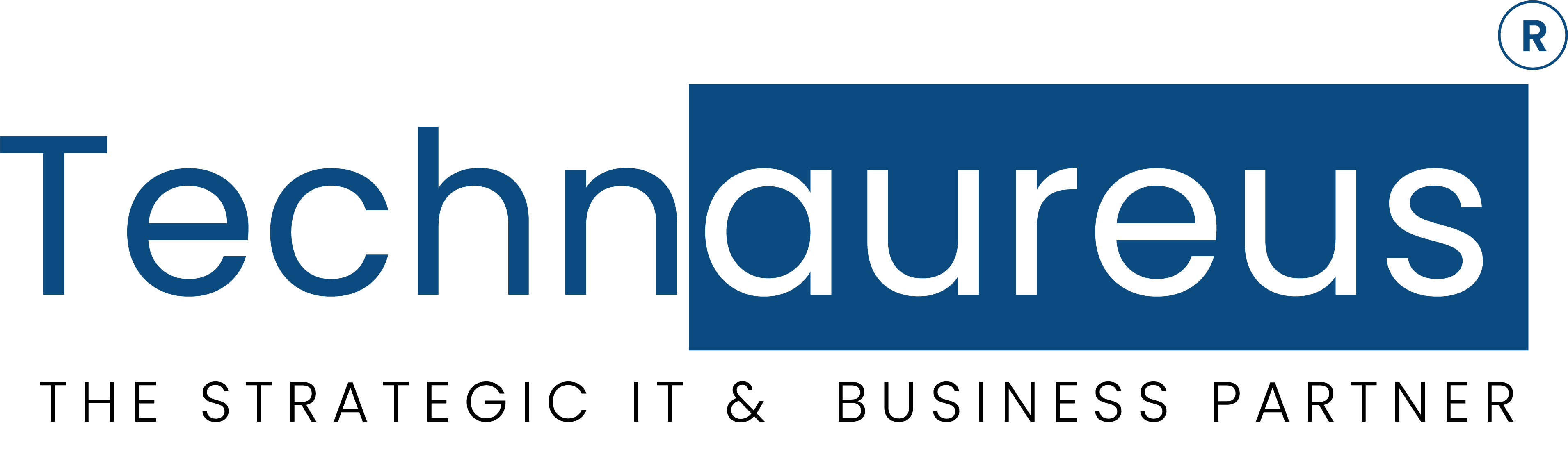 Technaureus — The Strategic IT & Business Partner