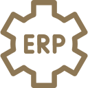 ERP & Business Systems