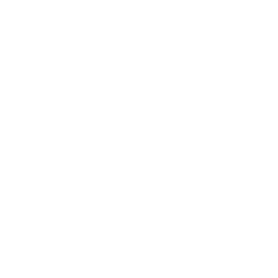 Career Acceleration